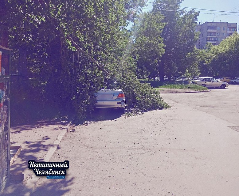 Между тем, соцсети полны подобными снимками. Фото: vk.com/«Нетипичный Челябинск»