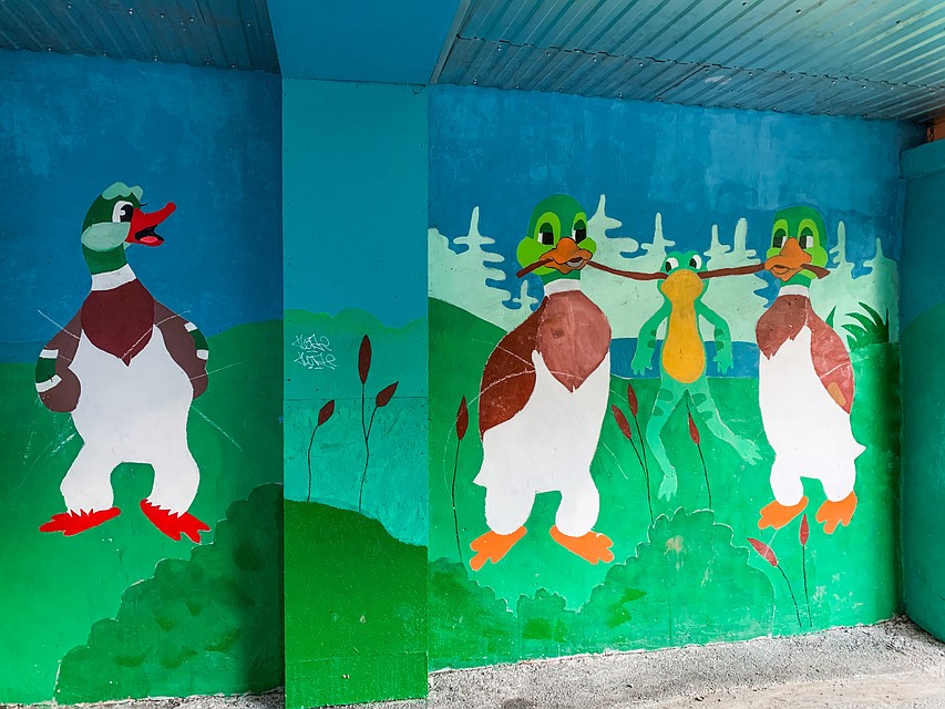 Фото: Амир Закиров
