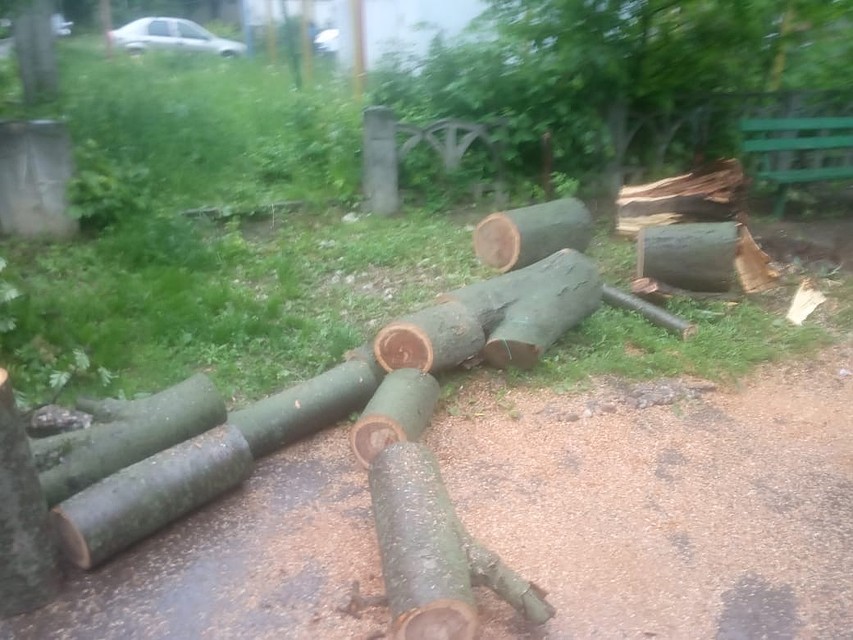 Фото: пресс-служба администрации Рязани.
