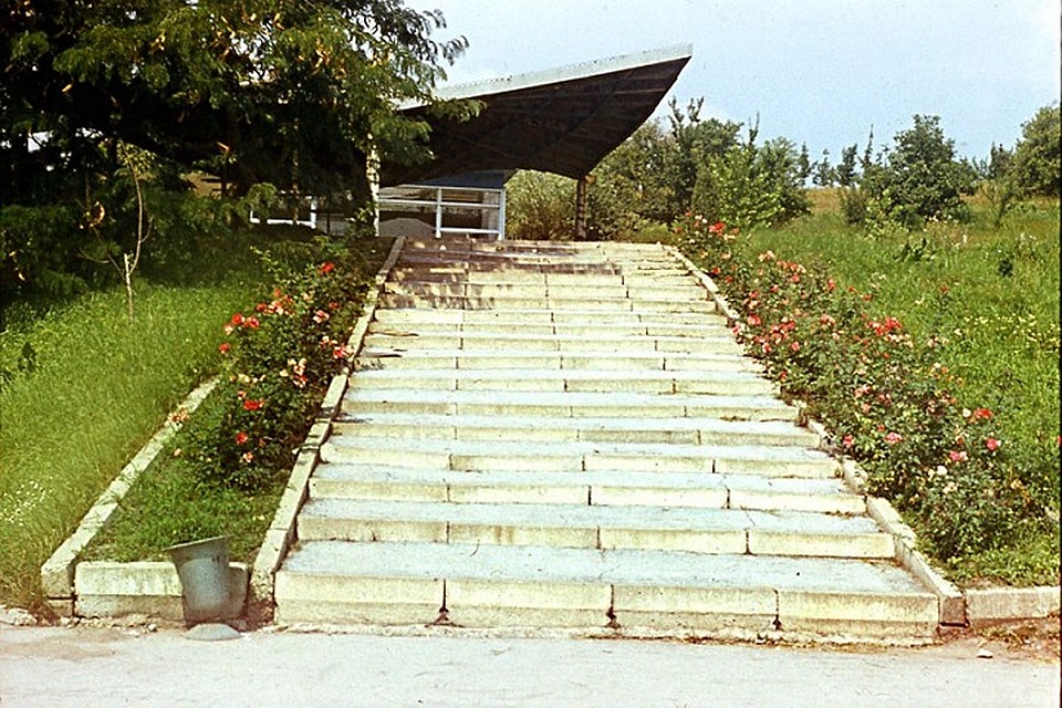 Было много простора (Фото: Андрей Коткин).