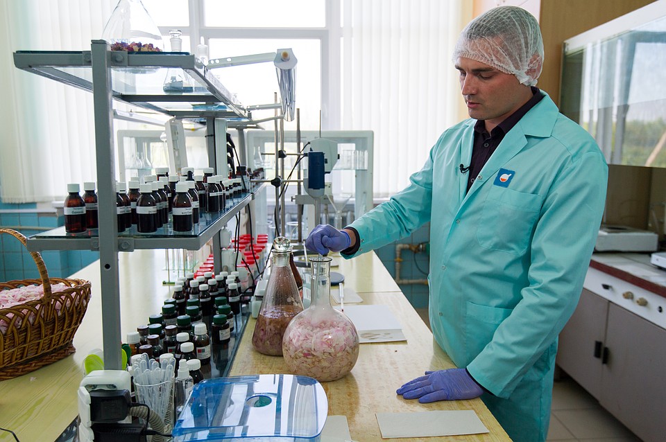 Технология приготовления экстракта схожа с рецептурой приготовления античного масла Фото: Михаил ПАТЛИС
