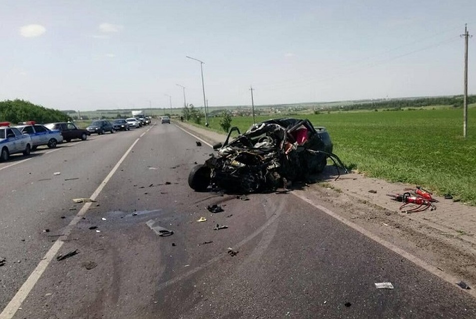фото: пресс-служба УМВД России по Белгородской области.