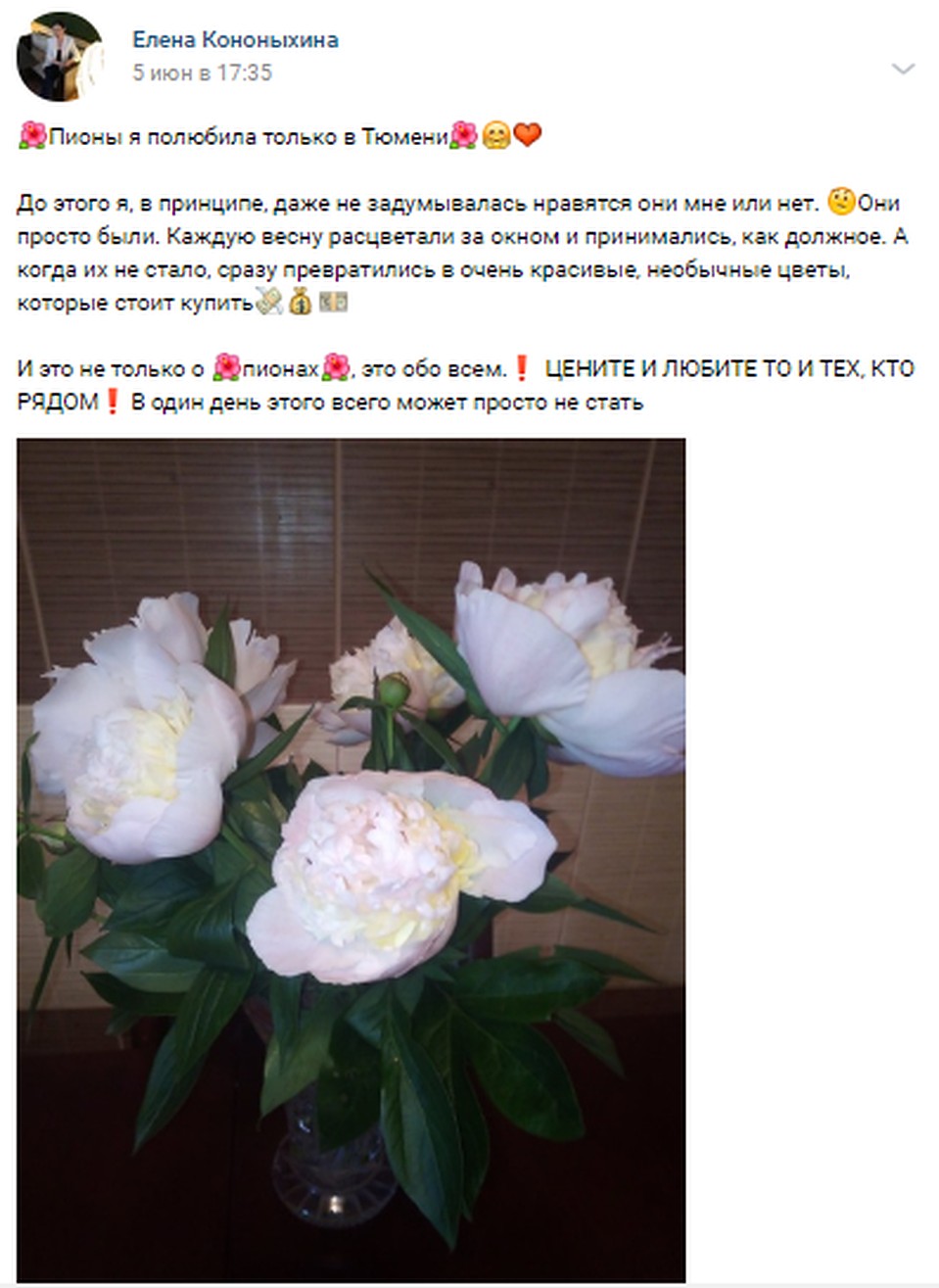 Пионы дарят, чтобы порадовать близких. Скриншот страницы Елены Кононыхиной ВКонтакте