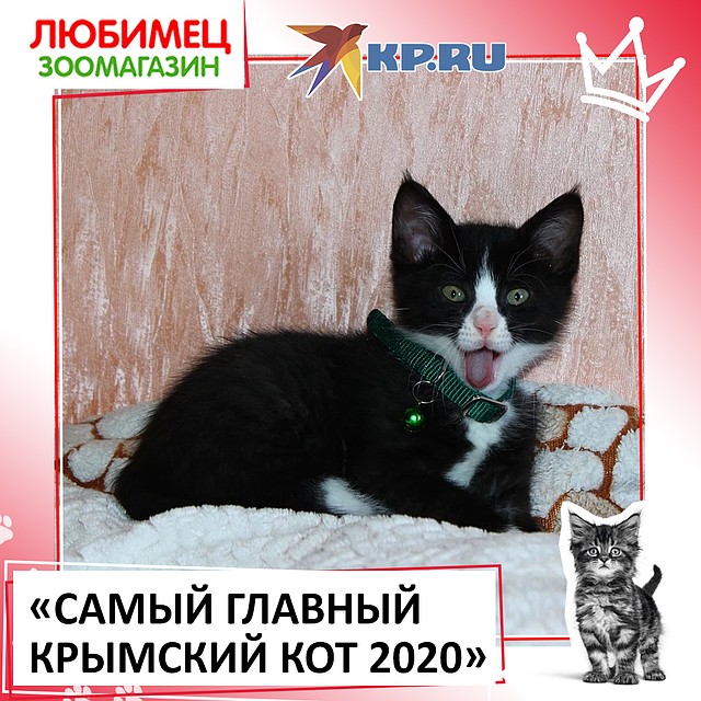 Замурчатая Боня