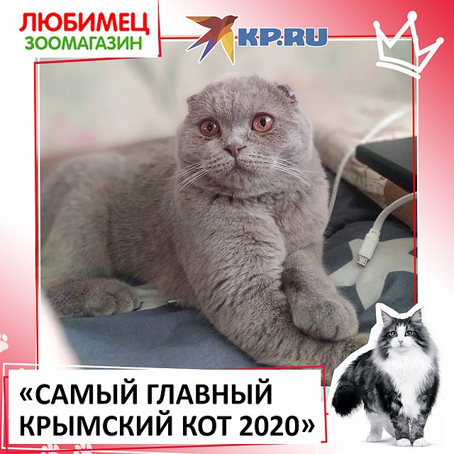 Очаровательный Мурлок