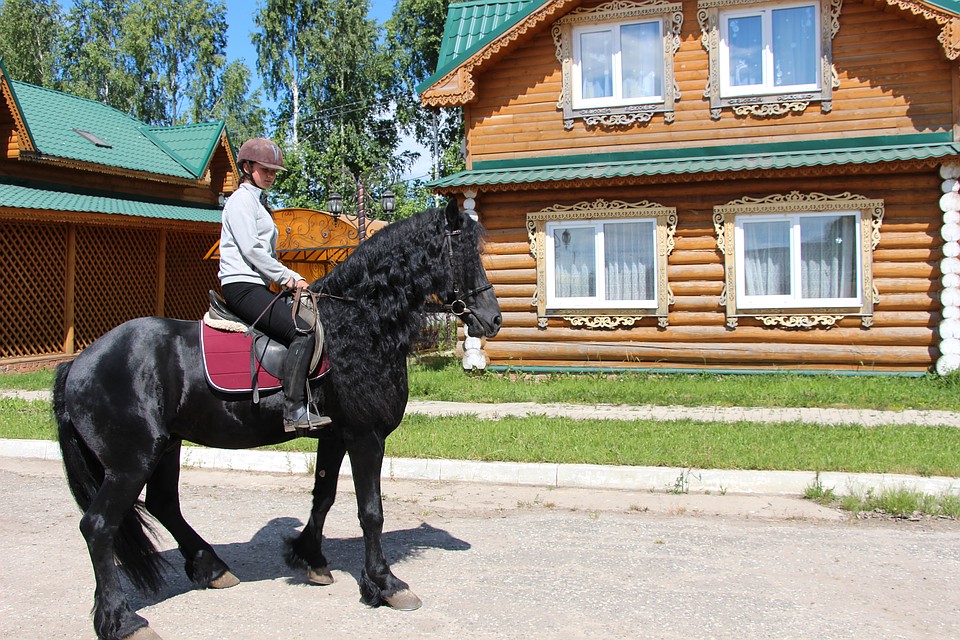 Фото: Сергей БОНДАРЕВ