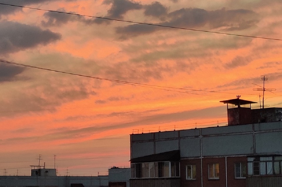 Фото: Ольга Кулаковская