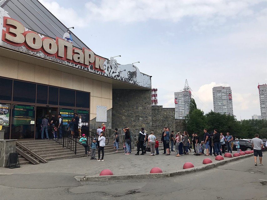Вот такие получаются очереди из желающих посетить зоопарк Фото: Валентина ВАГАНОВА