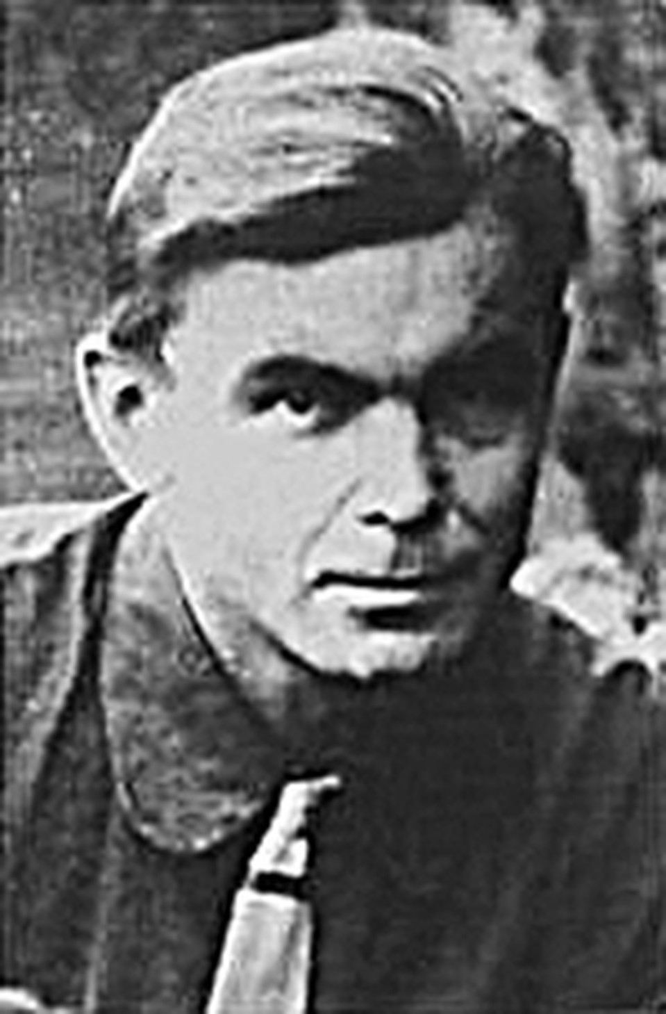 Александр Иванович Виноградов