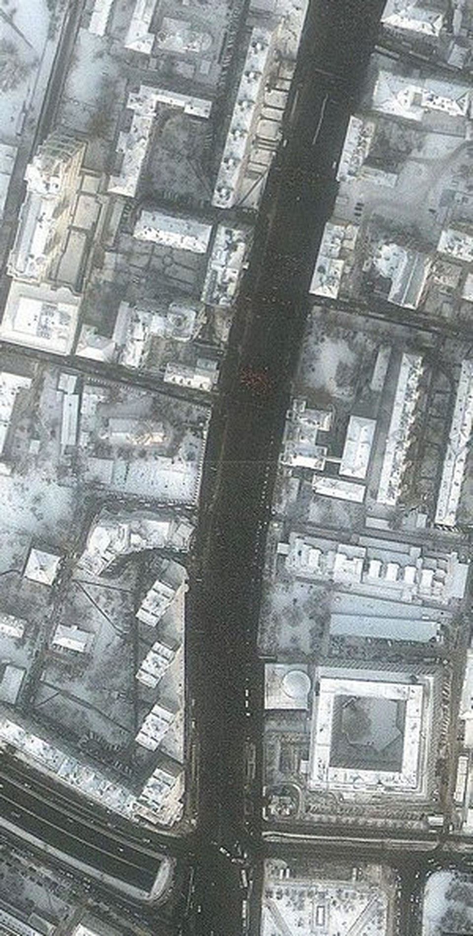 Фото колонны протестующих со спутника - кликните, чтобы увеличить