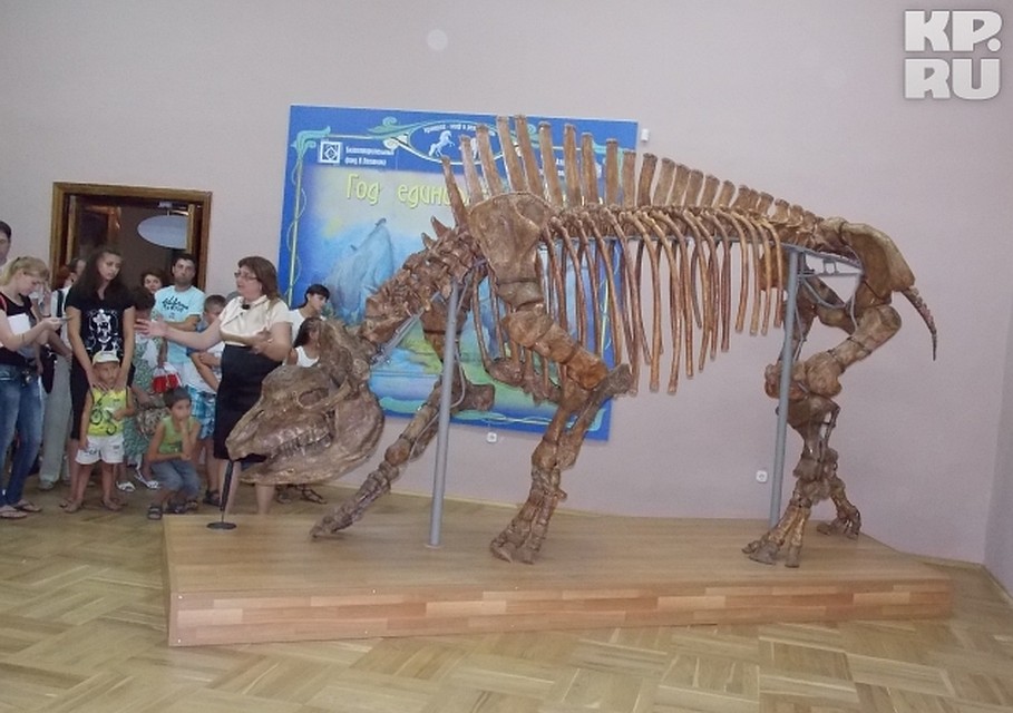 Единорога собирали в течение года Фото: Ирина ПОТЕРЯ