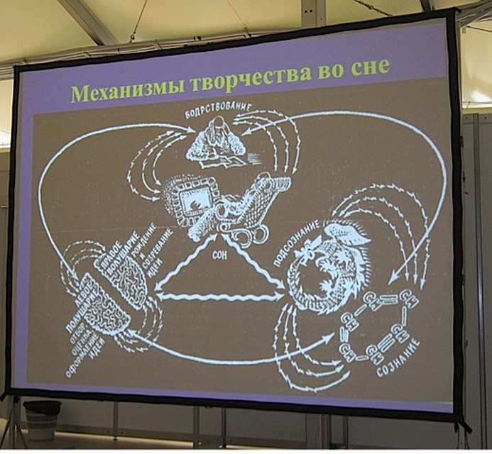 На конгрессе "Экология мозга"!.