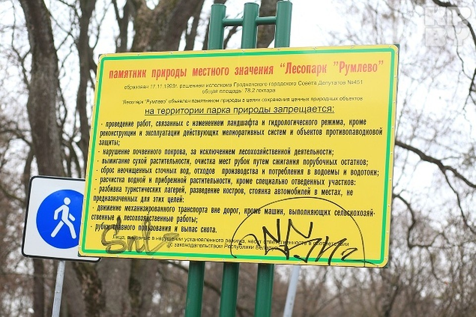Уже сейчас в парке нельзя разводить костры и вырубать деревья