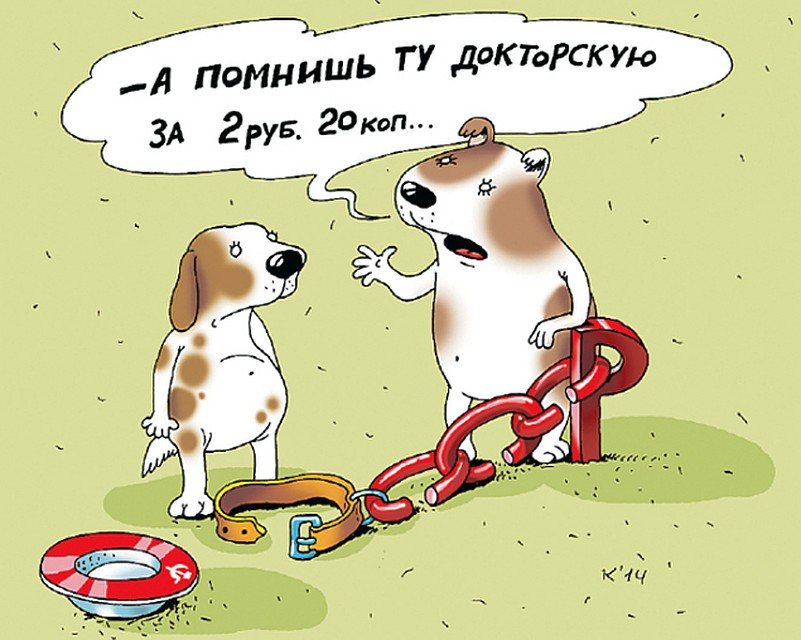 Фото: Екатерина МАРТИНОВИЧ