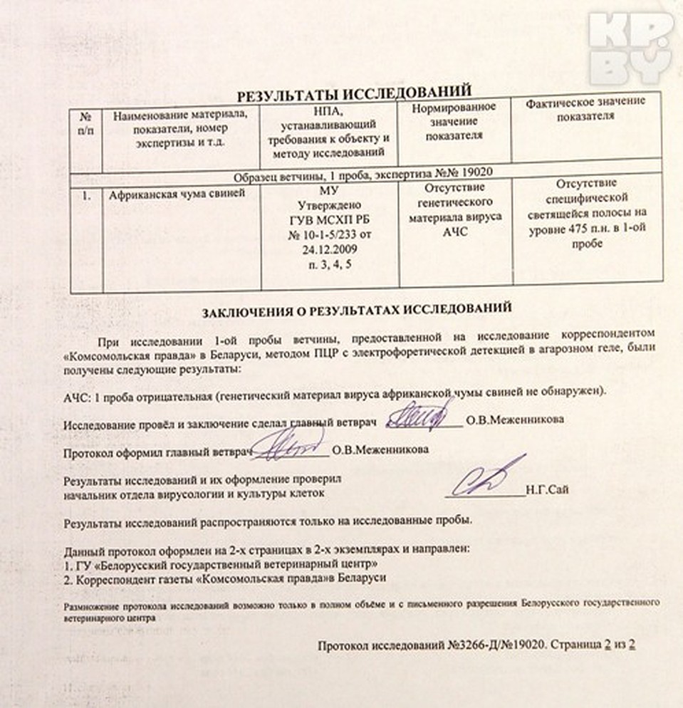 Как видим, генома чумы в ней тоже не обнаружили. Фото: Павел МАРТИНЧИК