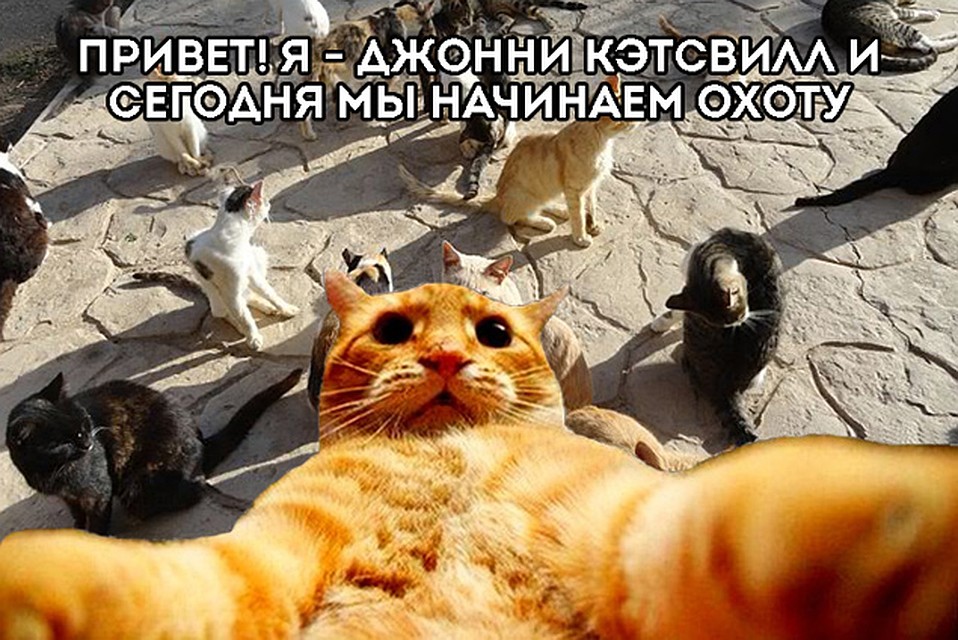 Фото: СОЦСЕТИ