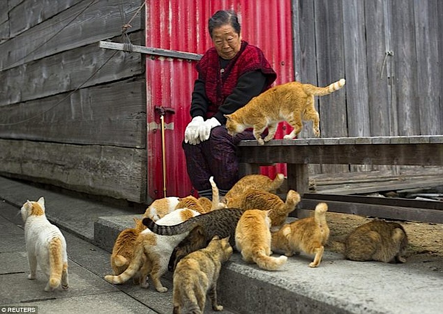 Фото: REUTERS