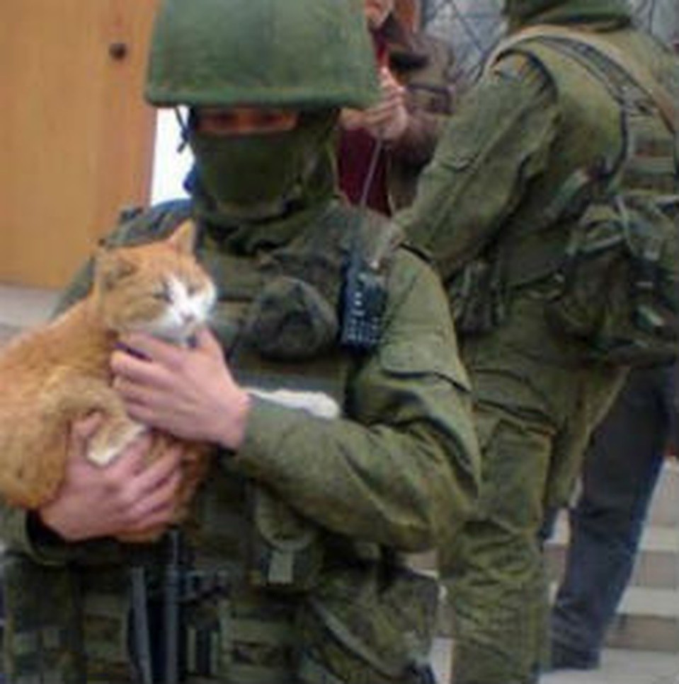 - Спасибо, что я больше не "кiт"!