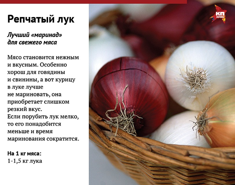 Фото: Анна ЛАТУХОВА