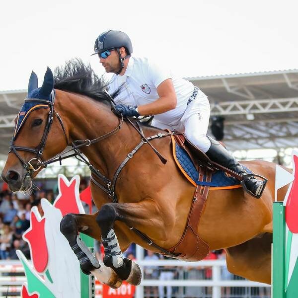 Национальный фестиваль молодых лошадей