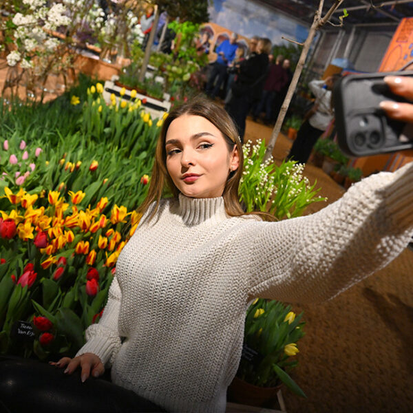 Выставка «Репетиция весны»