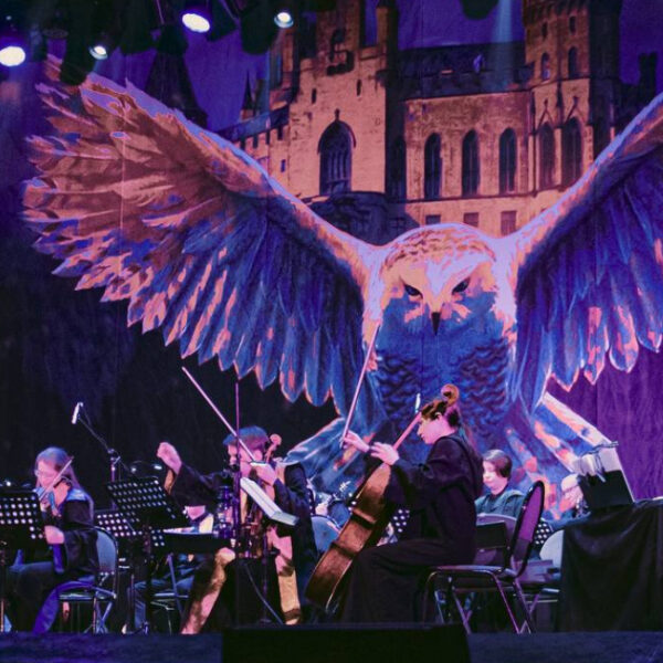 Концерт оркестра Sonorus «Гарри Поттер. Симфонические саундтреки»