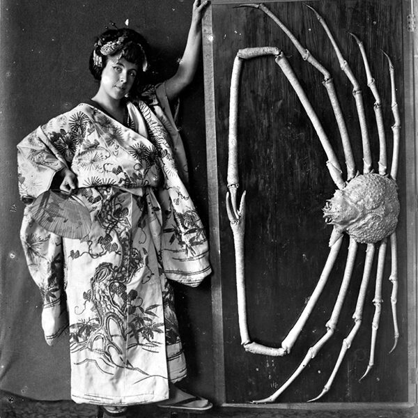 Выставка «Её Музей, и Книга, и Портрет» в Дарвиновском музее