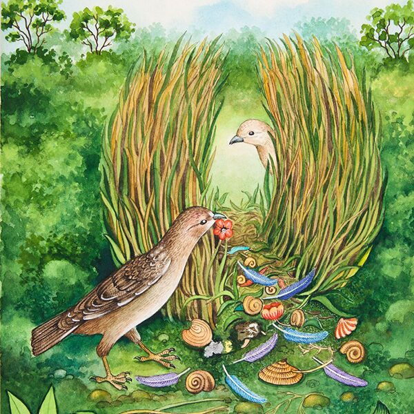 Выставка «Диалоги животных: я тебя вижу» в Дарвиновском музее