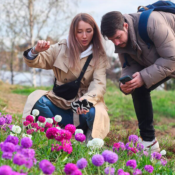 Фестиваль «Москва, расцветай!»