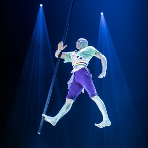 Выставка «Тот самый цирк»