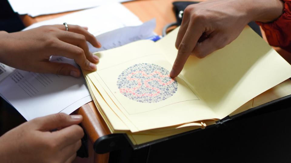 Дальтонизм у взрослых