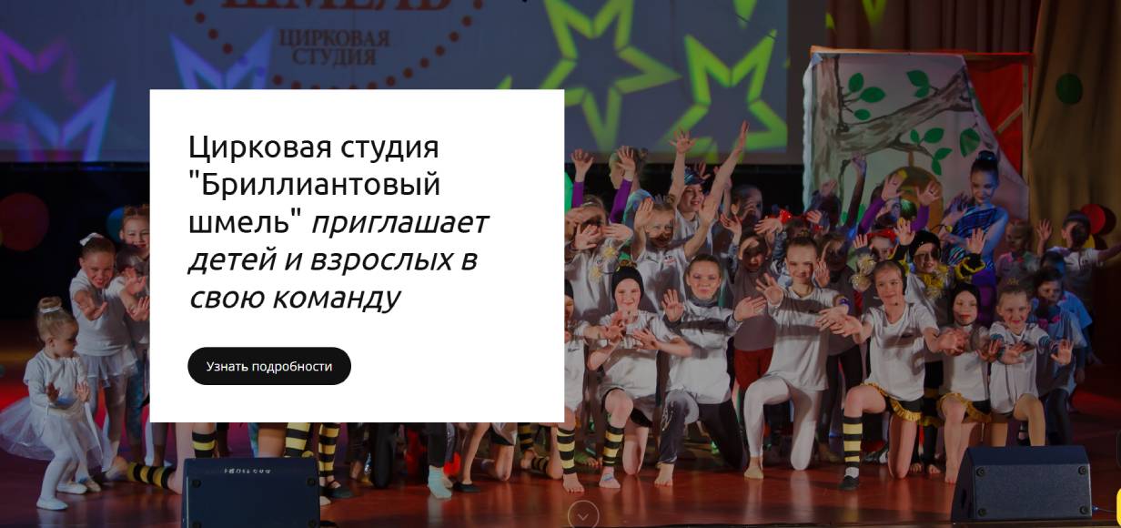Бриллиантовый шмель