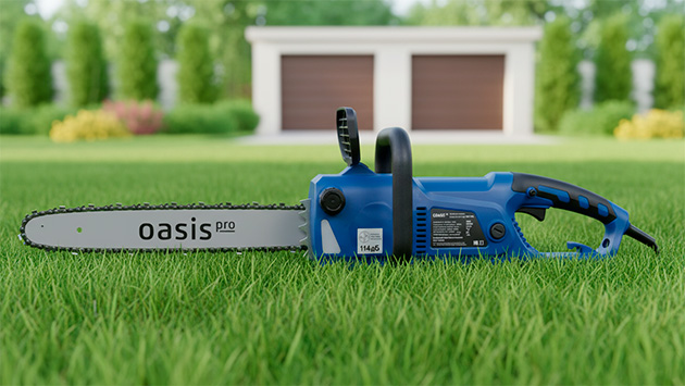 Oasis ES-28 Pro. Фото: Ян Ляпин / Нейросеть