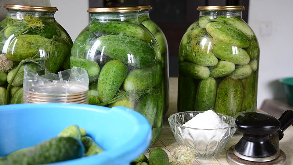 22 умных гаджета для домашних заготовок в 2025 году