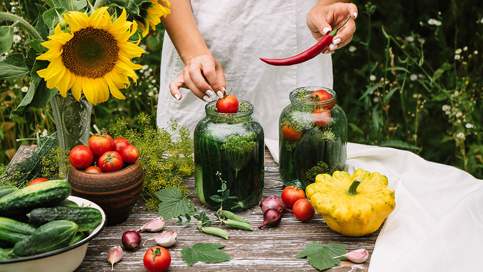 Лучшие пластиковые погреба для дачи в 2025 году