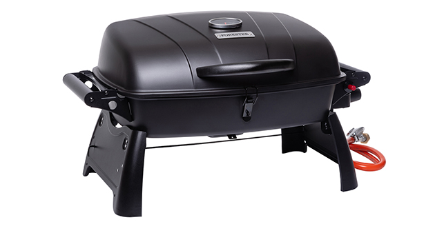 Forester BQ-712Pro. Фото: Forester