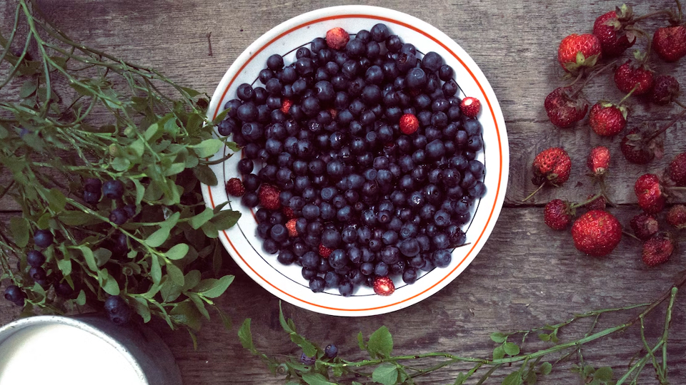 Черника: польза и вред для здоровья
