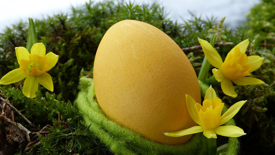 Как покрасить яйца куркумой в домашних условиях на Пасху