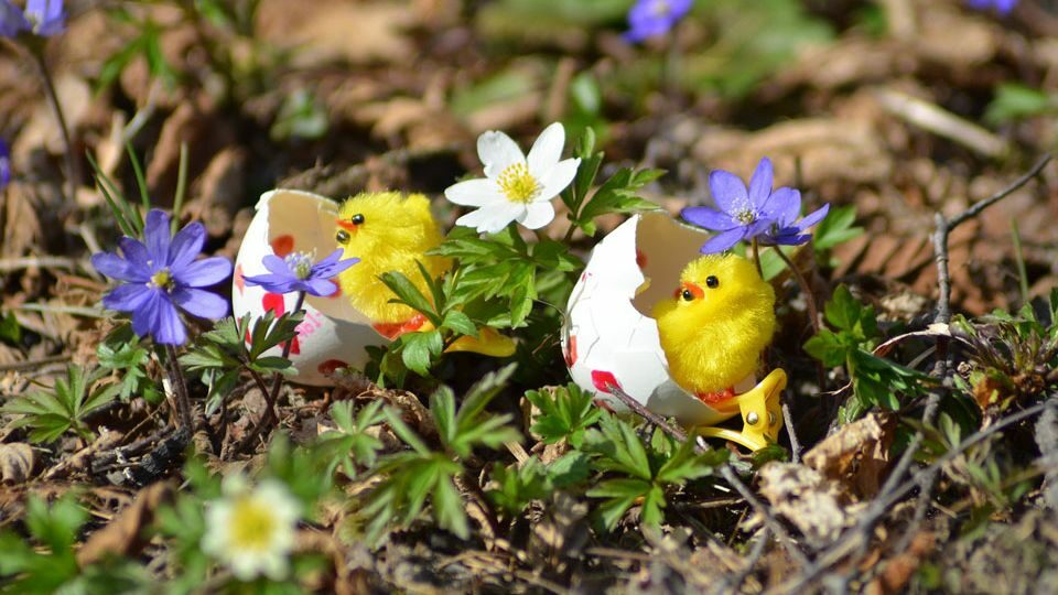 Выходные и праздничные дни в апреле 2025 года