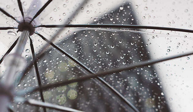 На государственном уровне