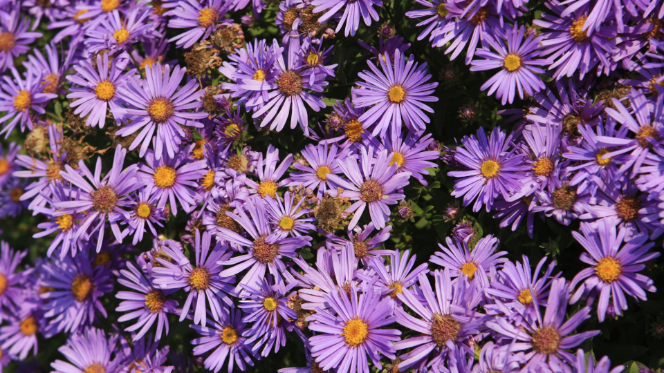 жеке эротикалық фотосуреттер