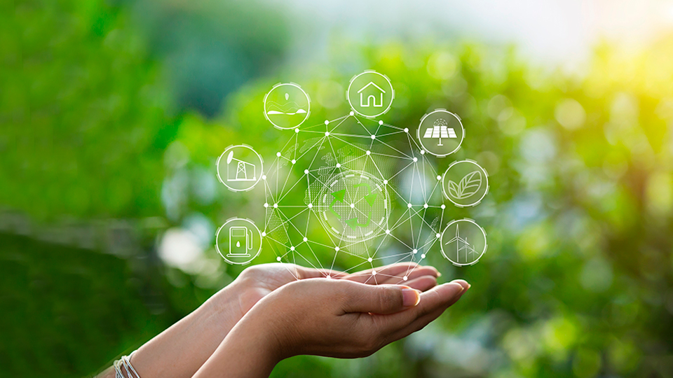 В России появится система «Экомониторинг» для наблюдения за состоянием окружающей среды