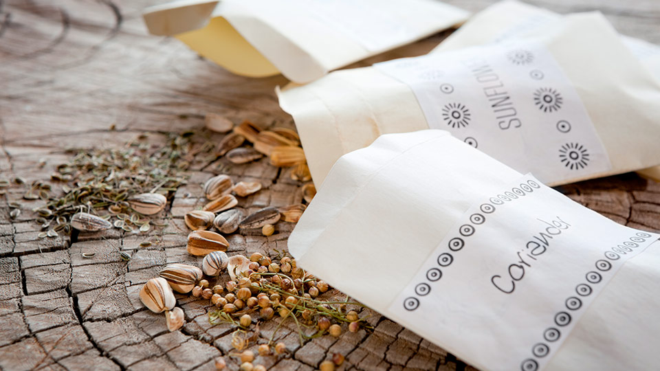 Как правильно хранить семена