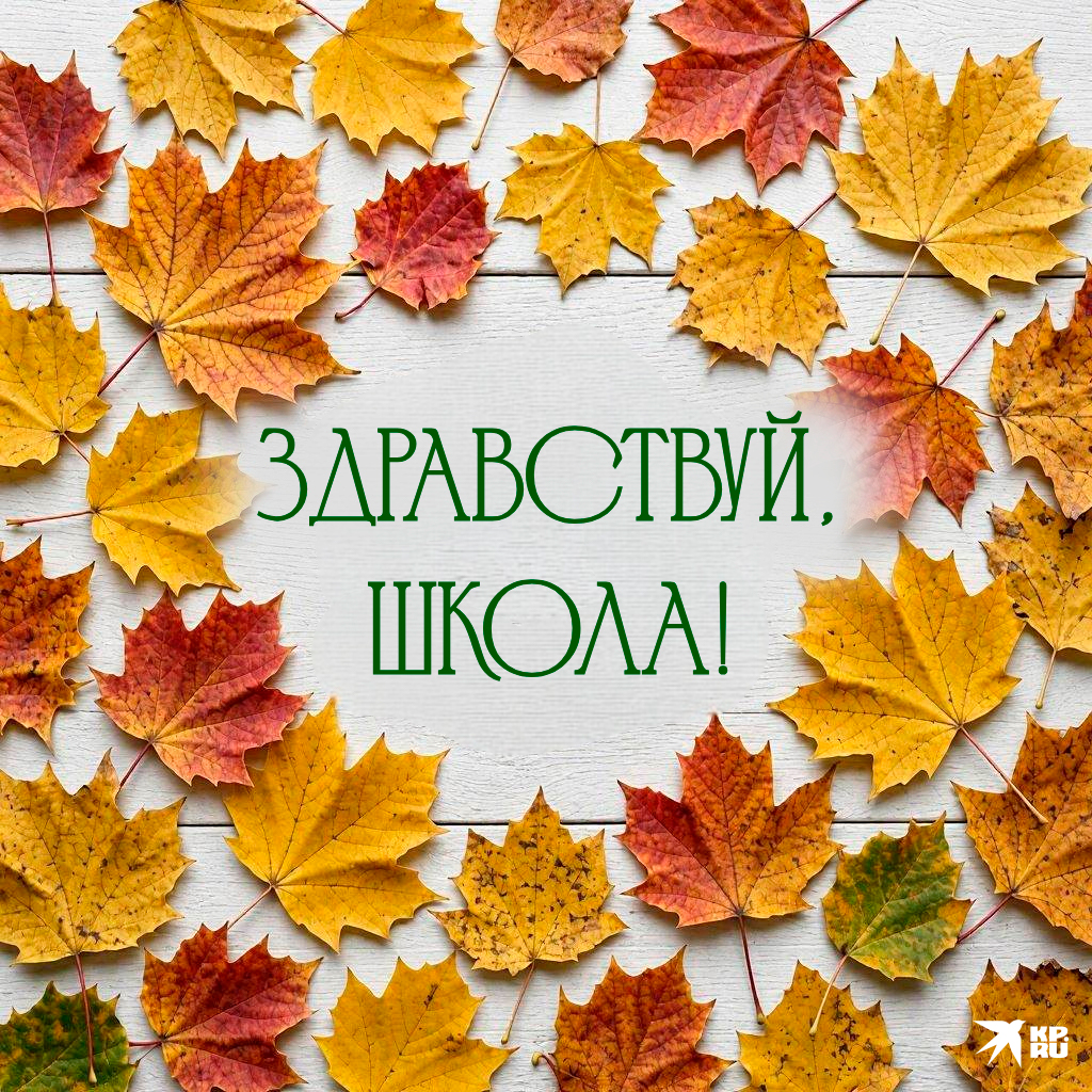 Красивые картинки на 1 Сентября с поздравлениями для учителя школы