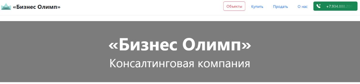 «Бизнес Олимп»