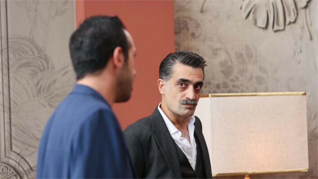 Описание шестой серии третьего сезона «Зимородка»: беременность Эсме и отравление Сейран