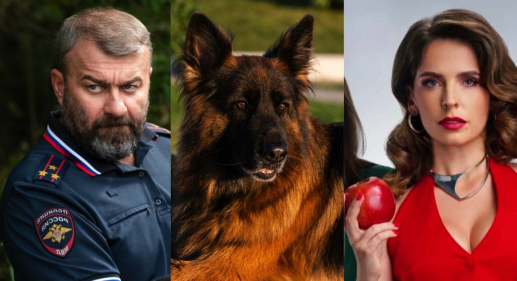 Российские сериалы, в которых есть и романтика, и криминал: вышли полностью в 2025 году