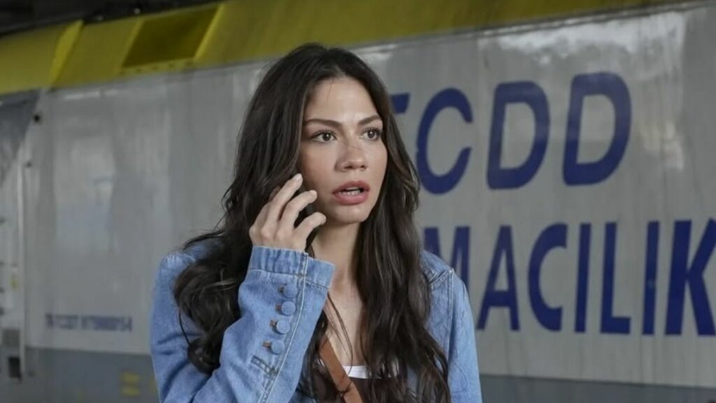 Новые проблемы Нисан: Описание 25 серии турецкого сериала «Мечта Эшрефа»