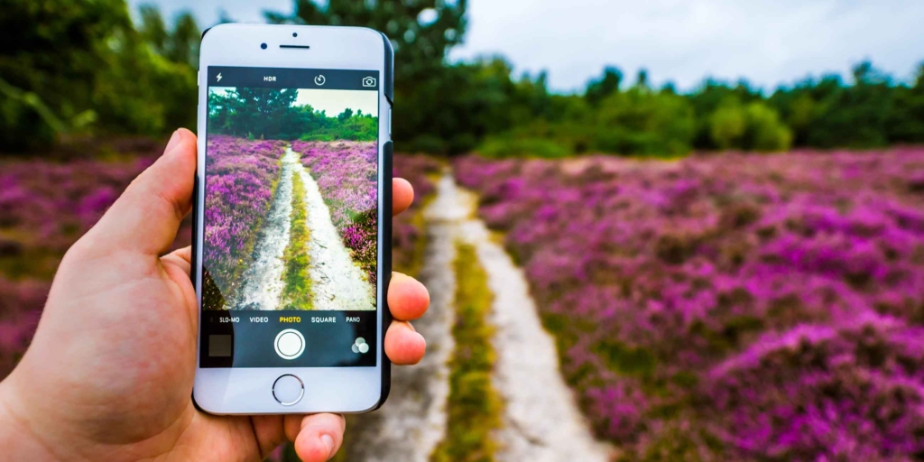 лавандовое поле в объективе камеры на телефоне