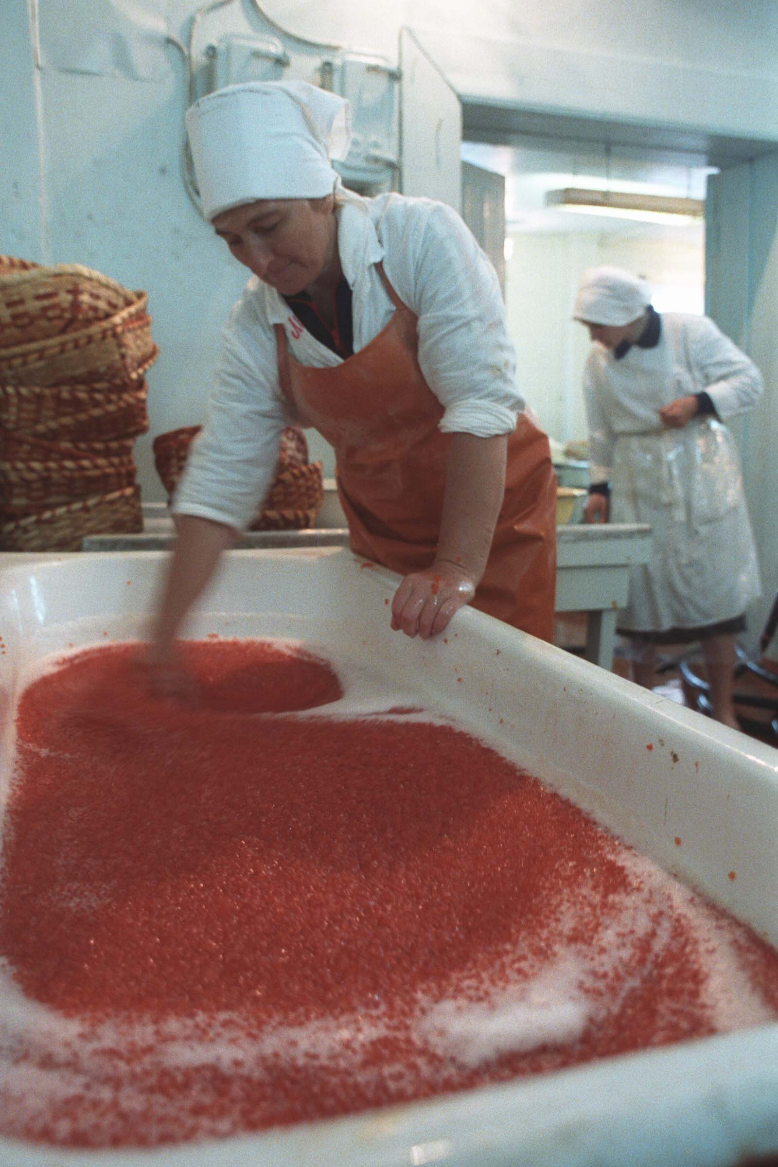 экспедиция на курилы 16